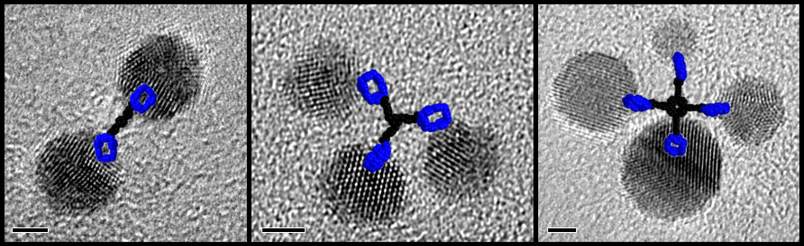 Picture of publication: Assembly of Polygonal Clusters Directed by Reversible Noncovalent Bonding Interactions