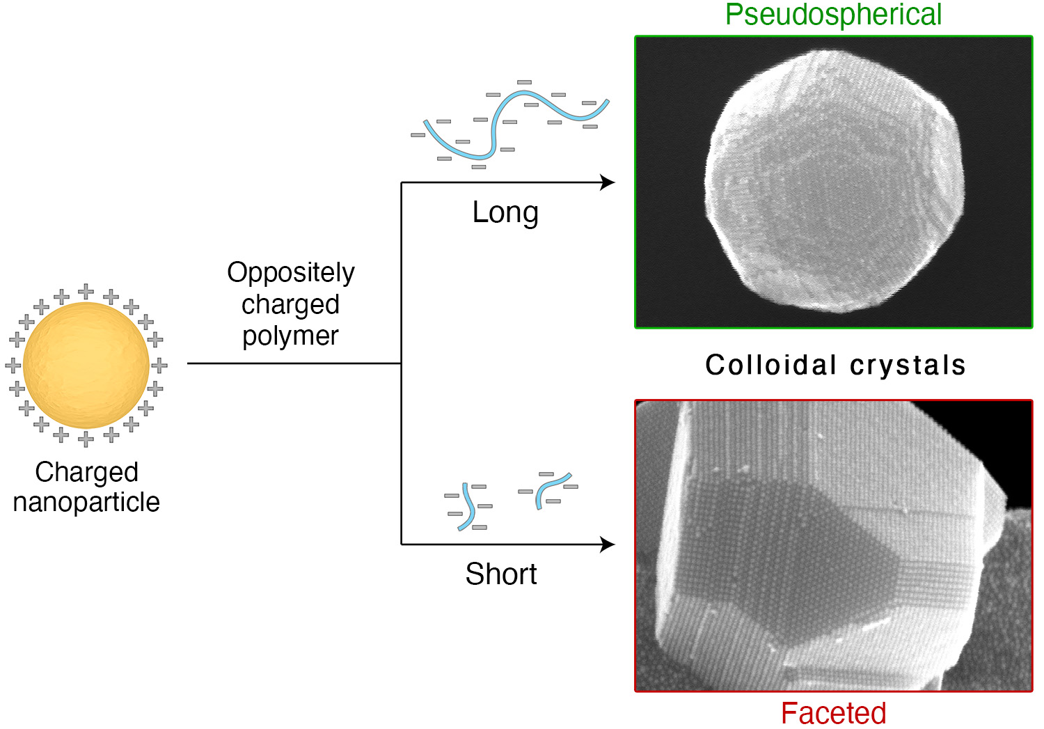Picture of publication: Morphology control in crystalline nanoparticle–polymer aggregates