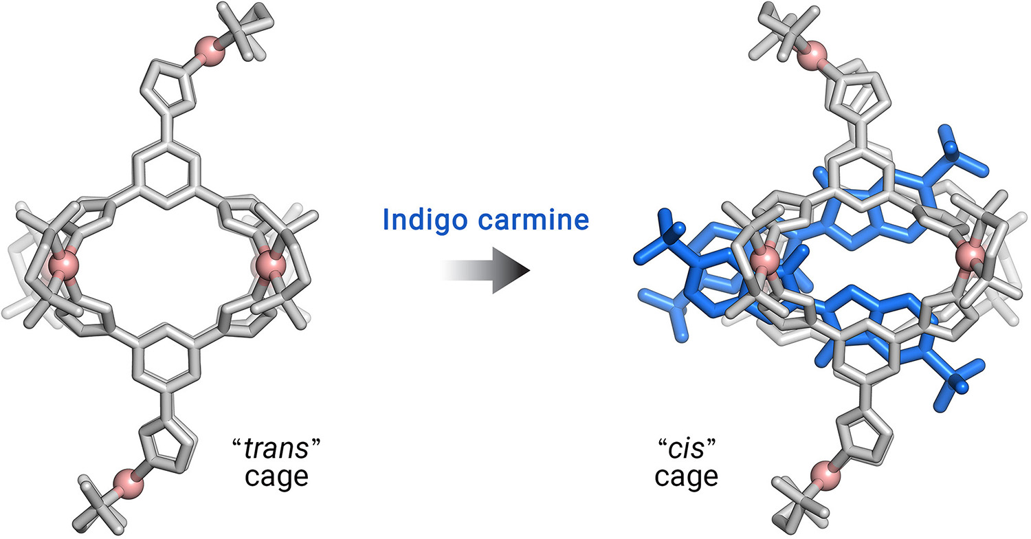 Picture of publication: Coexistence of 1:1 and 2:1 inclusion complexes of indigo carmine
