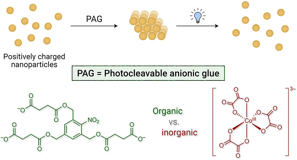 Picture of publication: Photocleavable anionic glues for light-responsive nanoparticle aggregates